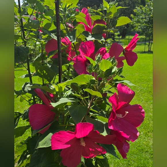 There Is Discounted Shipping, and Prices Have Been Cut. - Picture 1 of 1